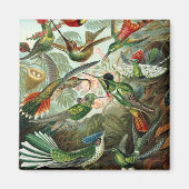 klassiek schilderij van vogel- en wildvogelsoorten magneet (Voorkant)