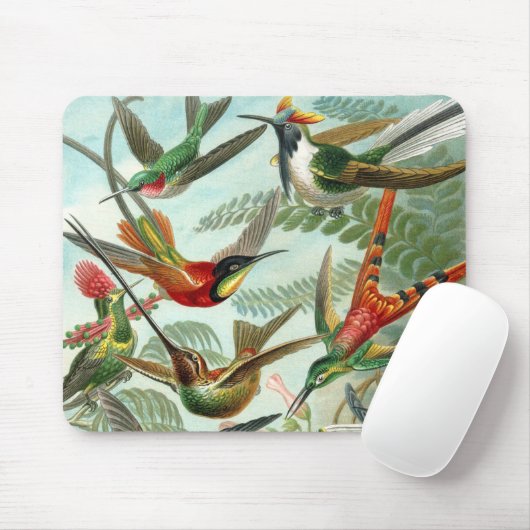 klassiek schilderij van vogel- en wildvogelsoorten muismat (Met muis)