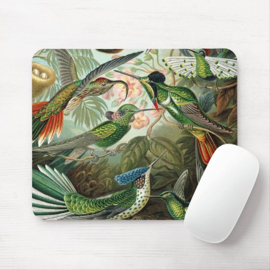 klassiek schilderij van vogel- en wildvogelsoorten muismat (Met muis)