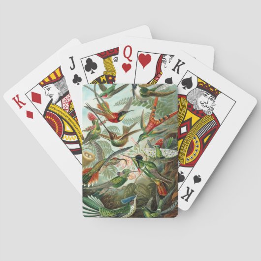 klassiek schilderij van vogel- en wildvogelsoorten pokerkaarten (Achterkant)