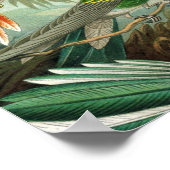 klassiek schilderij van vogel- en wildvogelsoorten poster (Hoek)