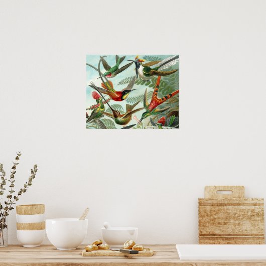 klassiek schilderij van vogel- en wildvogelsoorten poster (Keuken)