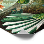 klassiek schilderij van vogel- en wildvogelsoorten poster (Hoek)