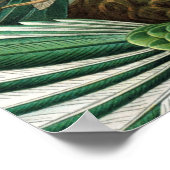 klassiek schilderij van vogel- en wildvogelsoorten poster (Hoek)