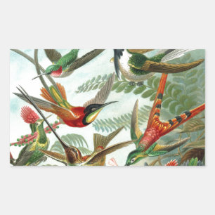 klassiek schilderij van vogel- en wildvogelsoorten rechthoekige sticker
