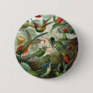 klassiek schilderij van vogel- en wildvogelsoorten ronde button 5,7 cm