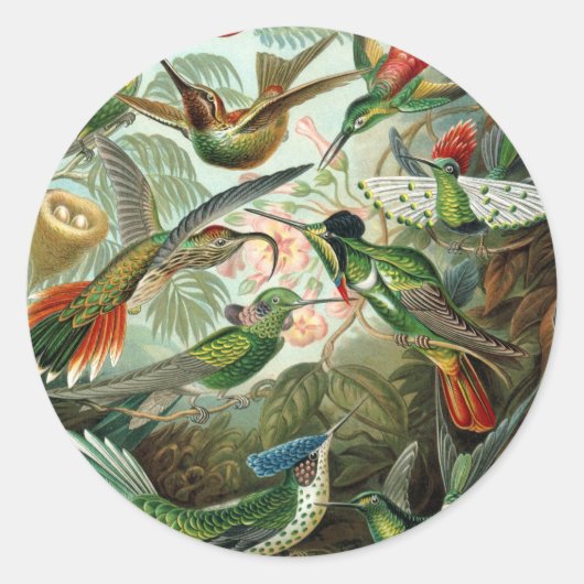 klassiek schilderij van vogel- en wildvogelsoorten ronde sticker (Voorkant)