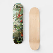 klassiek schilderij van vogel- en wildvogelsoorten skateboard (Voorkant)