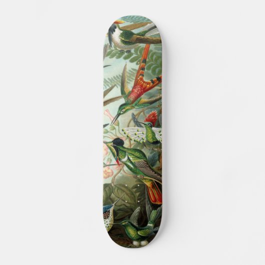 klassiek schilderij van vogel- en wildvogelsoorten skateboard (Voorkant)