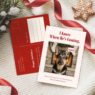 Klassiek speelse grappige hond huisdier foto kerst feestdagenkaart