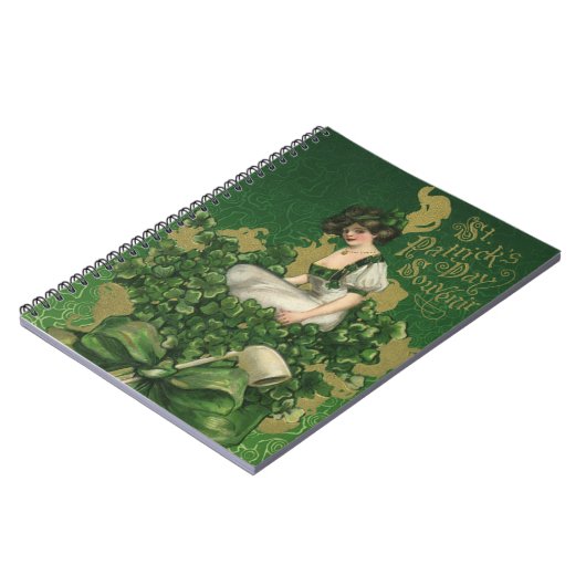 Klassiek St. Patrick's Day-souvenir, Ierse schone Notitieboek (Linkerzijde)