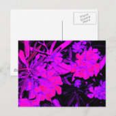 klassiek++stijlvol+artistiek+uiterlijk, briefkaart (Voorkant / Achterkant)