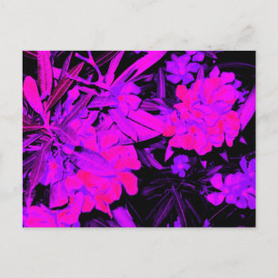 klassiek++stijlvol+artistiek+uiterlijk, briefkaart