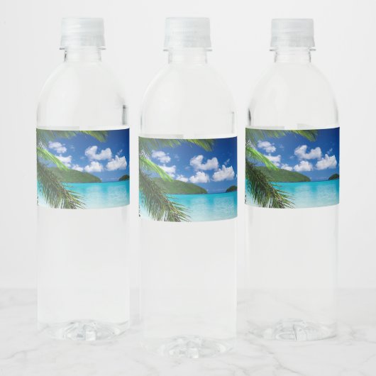Klassiek tropisch eilandstrand paradijs waterfles etiket (Flessen)