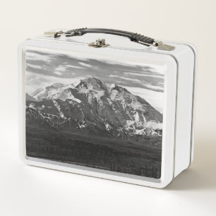 Klassiek USA Alaska Mt Mckinley nationaal park