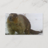 Klassiek Visitekaartje (Achterkant)