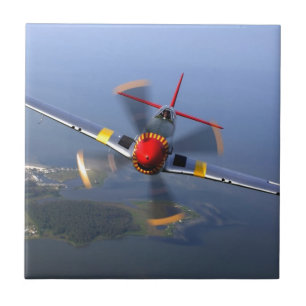 Klassiek vlak tegeltje