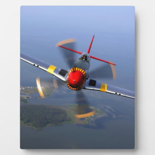 Klassiek Vliegtuig Fotoplaat
