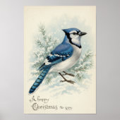 Klassieke 1908 Blauwe Gaai Kerstposter Kunst Poster (Voorkant)