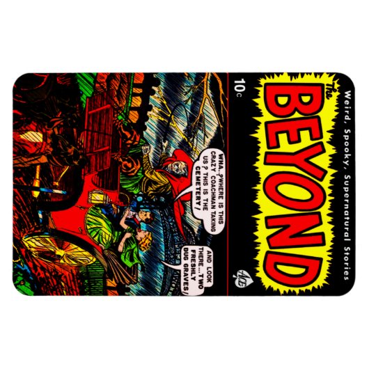 Klassieke 1950's het Beyond Flexible Magnet Magneet (Horizontaal)