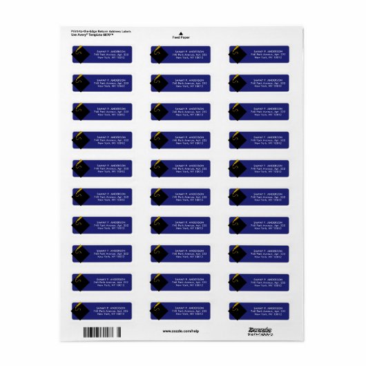 Klassieke Afstuderen Return Address Labels (Full Sheet)