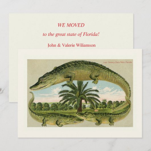 Klassieke Alligator Verhuisaankondiging (Voorkant / Achterkant)