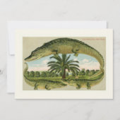 Klassieke Alligator Verhuisbericht (Voorkant)
