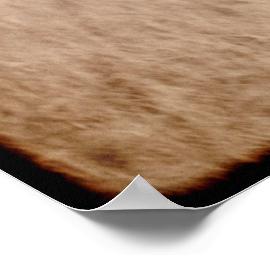 KLASSIEKE AMERIKAANSE COWBOY c. 1888 Poster (Hoek)