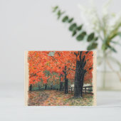 Klassieke art-10-briefkaart zakboek briefkaart (Staand voorkant)