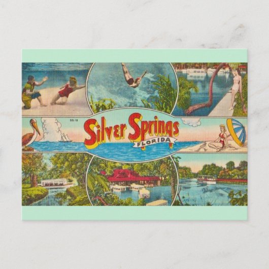 Klassieke attractie in Silver Springs Briefkaart (Voorkant)