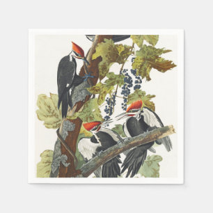 Klassieke Audubon-afbeelding van de helmspecht vog Servet