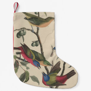 Klassieke Audubon Geschilderde Gors Kleurrijke Vog Kleine Kerstsok