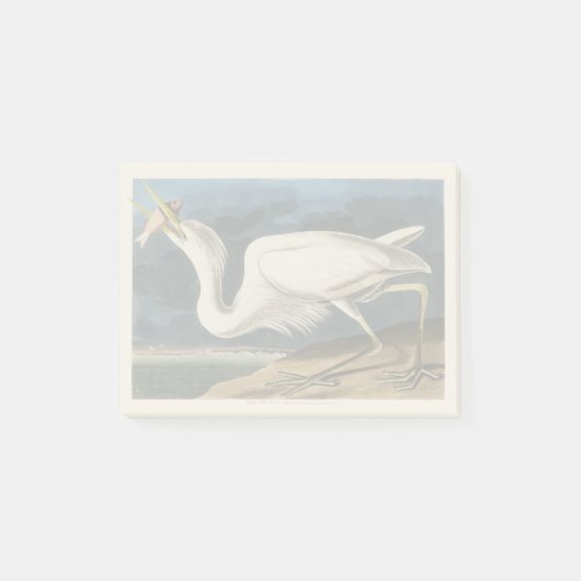 Klassieke Audubon Grote Witte Reiger Vogel Kunst Post-it® Notes (Voorkant)