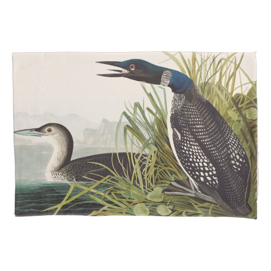 Klassieke Audubon-illustratie van de Amerikaanse f Kussensloop (Voorkant)