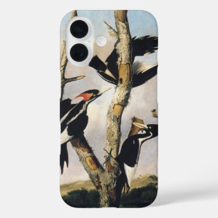 Klassieke Audubon Ivory-Billed Specht Kunst iPhone 16 Hoesje