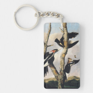 Klassieke Audubon Ivory-Billed Specht Kunst Sleutelhanger