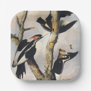 Klassieke Audubon Ivory-Billed Woodpecker Kunst Papieren Bordje