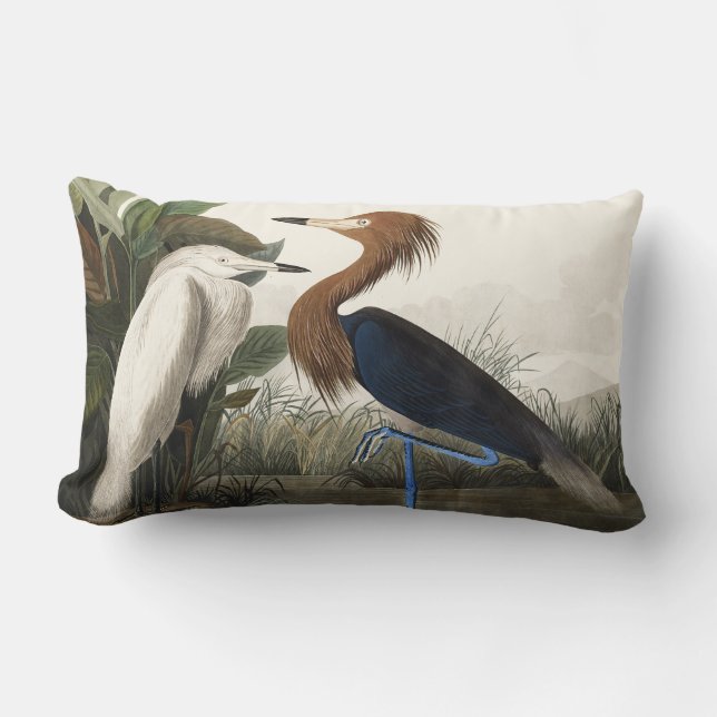 Klassieke Audubon kunst van de Rode Reiger vogel Kussen (Voorkant)