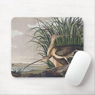 Klassieke Audubon Long-billed Curlew Vogel Kunst Muismat