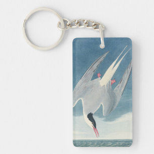 Klassieke Audubon Noordse Stern kustvogelkunst Sleutelhanger