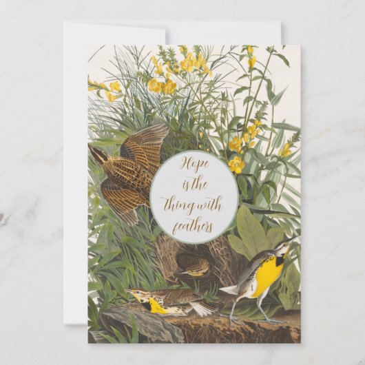 Klassieke Audubon Weideleeuwerik Print (Voorkant)