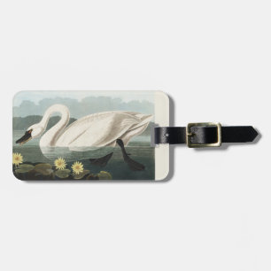 Klassieke Audubon-witte waterlelie-kunst Bagagelabel