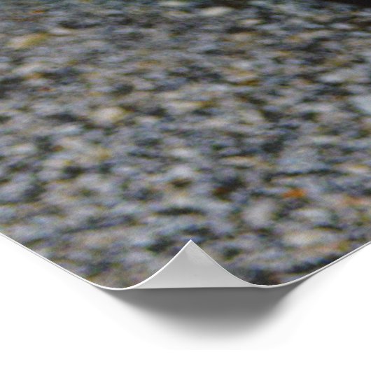  Klassieke auto Impala Sluiten Poster (Hoek)