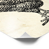 Klassieke Barred Plymouth Rock Kip Hen Foto Afdruk (Hoek)