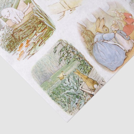Klassieke Beatrix Potter Tissuepapier (Detail)