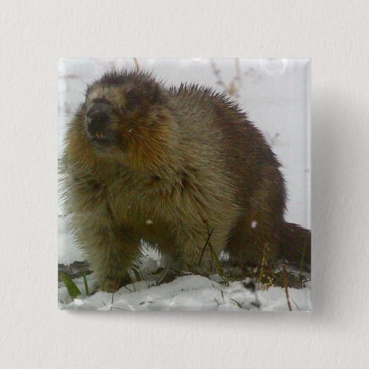 Klassieke Beavers Square Pin Vierkante Button 5,1 Cm (Voorkant)