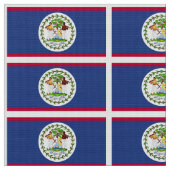 Klassieke Belize vlag Stof (Close Up)