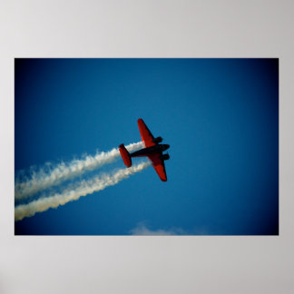 Klassieke beuk 18 Vliegtuig Poster