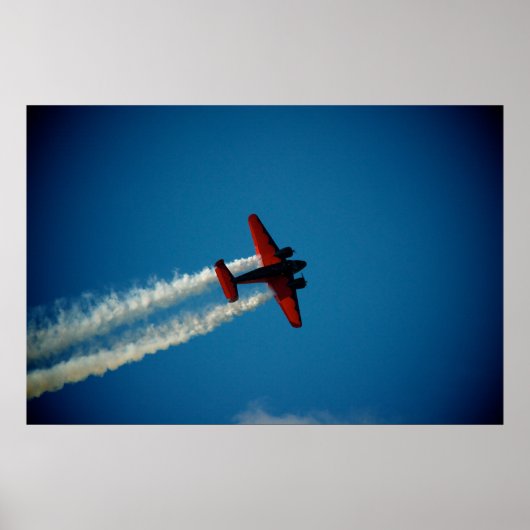 Klassieke beuk 18 Vliegtuig Poster (Voorkant)