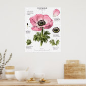 Klassieke Bloem Anatomie Kunst | Botanische Studie Poster (Keuken)